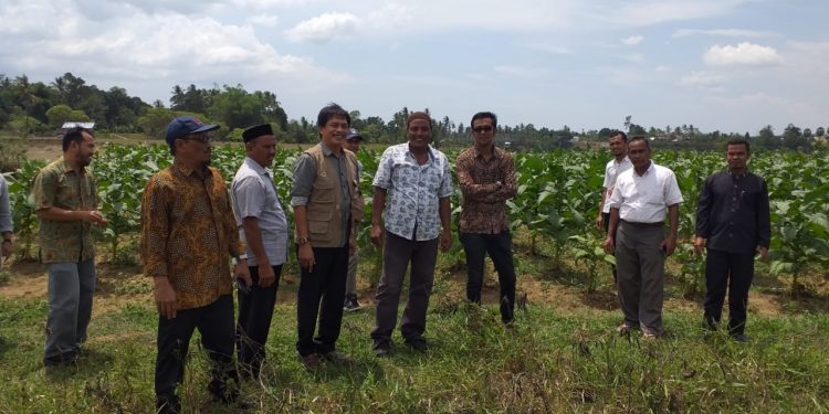 Irvan Mirza Alumni FP Syiah Kuala, Pimpin Petani Nasdem Aceh