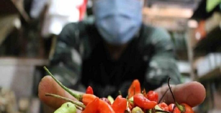 Edan! Harga Cabai Merah di Medan Tembus Rp130 Ribu Per Kilogram