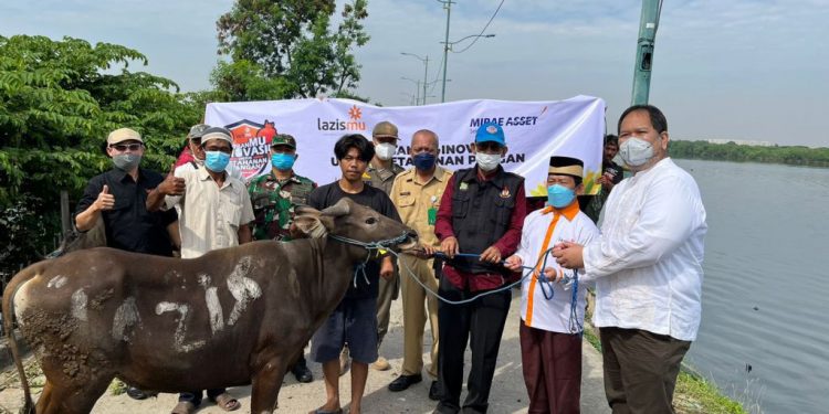 Kolaborasi Kurban Lazismu dan PT Mirae Asset Sekuritas Indonesia di Kampung Nelayan
