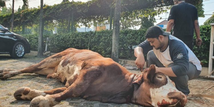 Muhammadiyah Berkurban di Lokasi Bencana