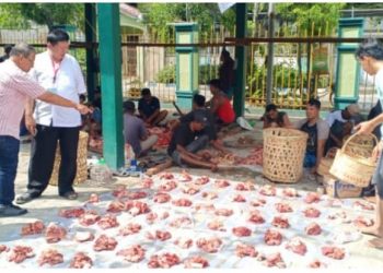 Muhammadiyah Lubuk Pakam Kurban 29 Sapi dan 1 Kambing