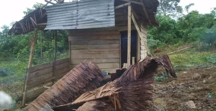 Kawanan Gajah Liar Ubrak-abrik Kebun Warga di Ranto Peurelak Aceh Timur
