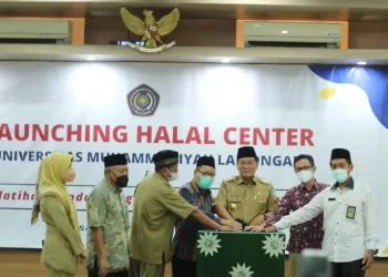 Sertifikat Halal Solusi Meningkatkan Keberlanjutan UKM Pangan di Indonesia