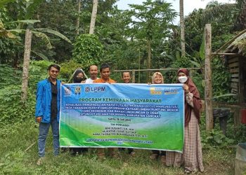 Dosen FP UMSU Ubah Limbah Putung Rokok Jadi Bio Pestisida Pada Tanaman Pepaya