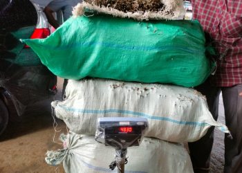 Polisi Berhasil Amankan Narkotika Jenis Ganja Seberat 48,150 KG Di Aceh Utara