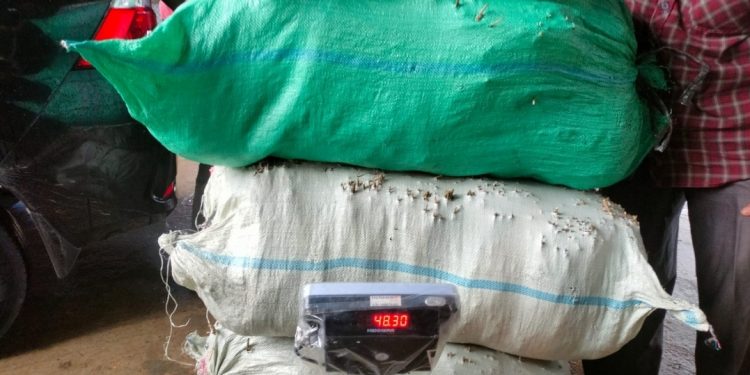 Polisi Berhasil Amankan Narkotika Jenis Ganja Seberat 48,150 KG Di Aceh Utara