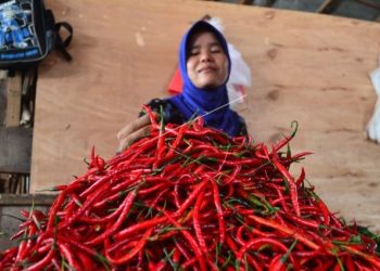 FOTO ANTARA/M Syafii