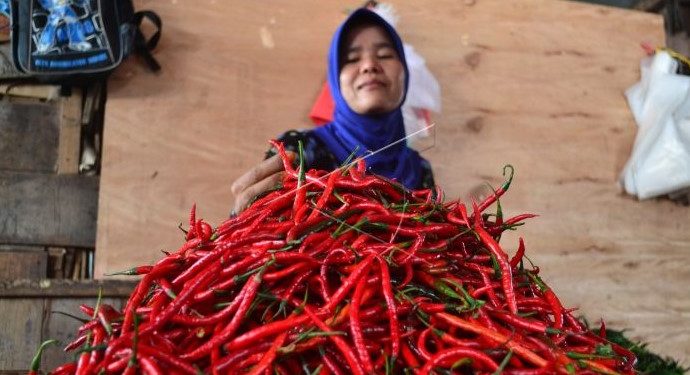 FOTO ANTARA/M Syafii