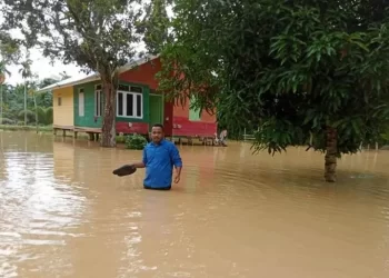 4.949 jiwa di Aceh Timur mengungsi akibat banjir