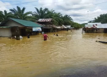 Sungai meluap, enam kecamatan di Aceh Tamiang terendam banjir