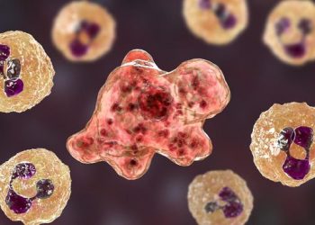 Tiga Negara yang Catat Kematian Kasus Amoeba Pemakan Otak