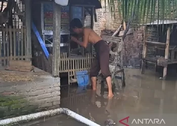 Tujuh Kecamatan di Deliserdang terendam banjir, ternak ayam warga mati
