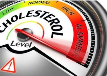 Delapan Sayuran Penurun Kolestrol Paling Cepat, Lezat dan Mudah Didapat