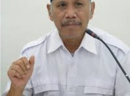 Kolom Shohibul Anshor Siregar: Muhammadiyah dan Politik