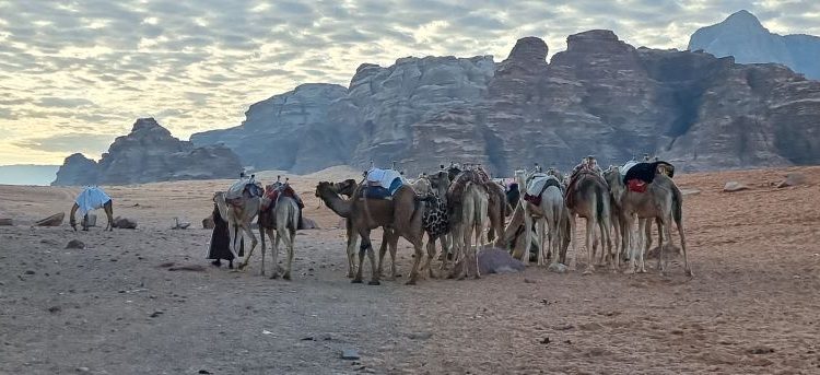 Menyelusuri Wadi Rum, Gurun Pasir Berwarna Merah, Kini Menjadi Warisan UNESCO