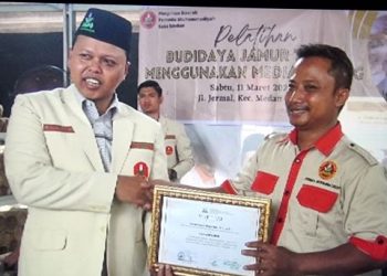 PDPM Medan Gelar Pelatihan Budidaya  Jamur dengan Menggunakan Media Baglog