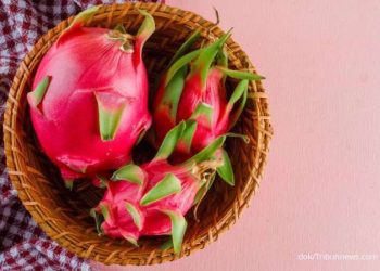 Wajib Tahu! 5 Manfaat Buah Naga Untuk Kesehatan