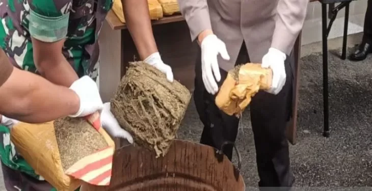 Dua dus ganja kering tujuan Jakarta terjaring Avsec Bandara Silangit
