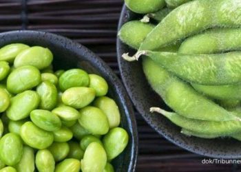 Kabar Baik Bagi Penderita Kolesterol Tinggi, 6 Camilan Ini Bikin Kolesterol Rontok