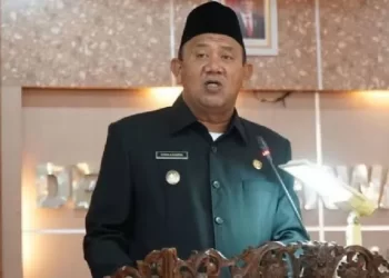 DPP tunjuk Syah Affadin sebagai Plt. Ketua PAN Sumut