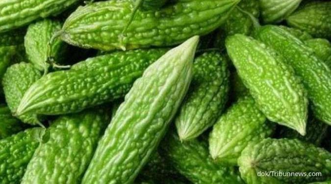 Cukup Rebus Selama 10 Menit, Teh Pare Bermanfaat untuk Penyakit Diabetes & Kolesterol