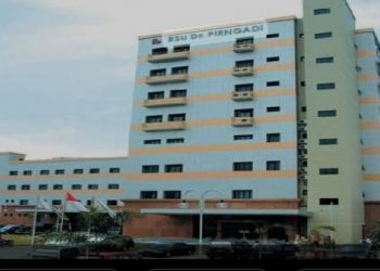 Dukung Wisata Medis, RSUD dr Pirngadi Rencanakan Jemput Pasien Tetap ke Rumah