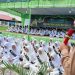 SMP Muhammadiyah 3 Tanjung Sari Wisuda Tahfidz 125 Pelajar