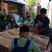 SDIT Muhammadiyah Manggeng, Aceh : Menggali Inspirasi, Mini Trip ke ‘Home Industri’