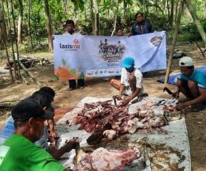 Inovasi Manajemen qurban 1444 H Lazismu DIY salurkan  370 hewan qurban di 201 Lokasi