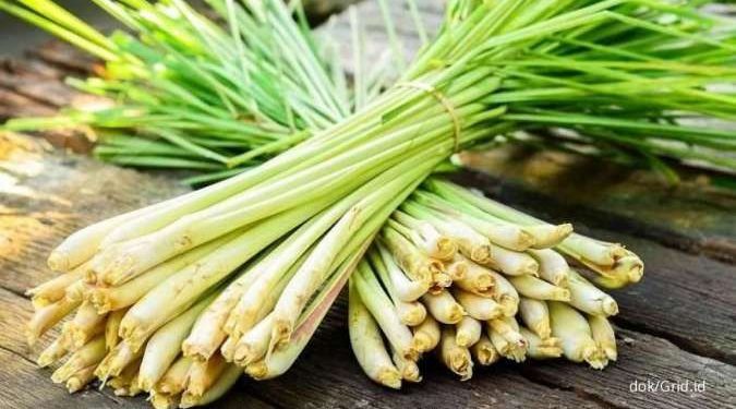 Tujuh Manfaat Serai Bagi Kesehatan Tubuh yang Menarik Diketahui