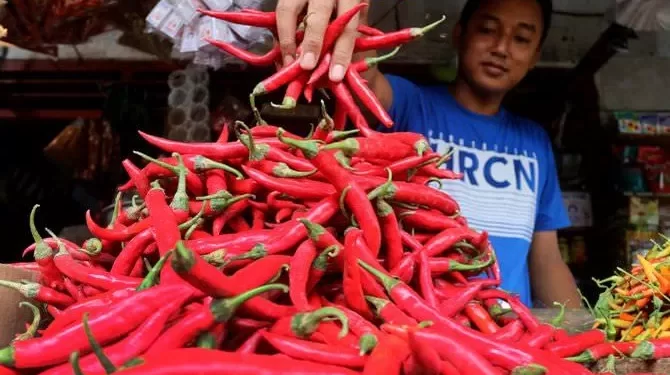 Cabai Merah dan Ayam Melonjak Naik di Medan