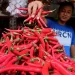 Cabai Merah dan Ayam Melonjak Naik di Medan