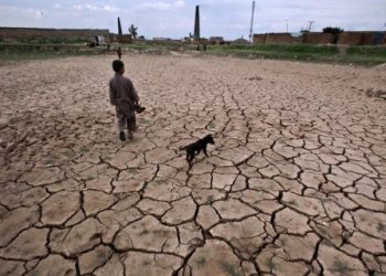 BMKG Ingatkan, 7 Daerah RI Ini Terancam Petaka Panas Mendidih