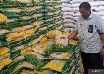Bulog siapkan strategi operasi pasar murah di Sumut