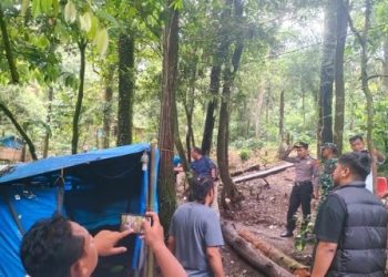 Polda Sumut Hancurkan Puluhan Gubuk Narkoba Sepanjang Medan-Berastagi