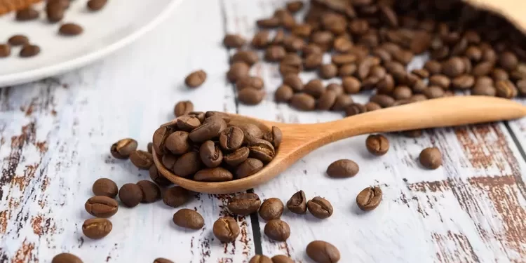 Lima Daerah Penghasil Kopi Terbaik Di Indonesia