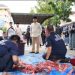Idul Adha 1445 H UMSU Sembelih 60 Ekor Hewan Kurban