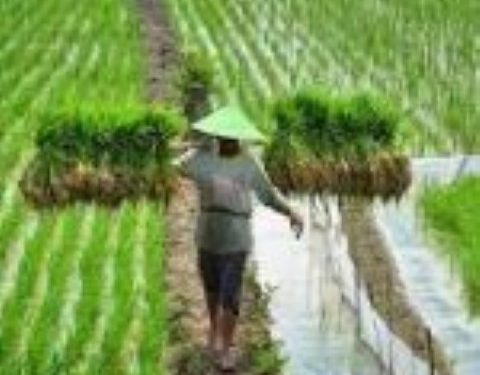 MPM Selaraskan Derap Pemberdayaan dari Pusat ke Wilayah