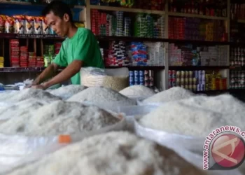 Harga Ayam dan Beras di Medan Mulai Naik