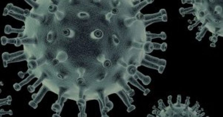 Wabah virus Human Metapneumovirus (HMPV)  Merebak