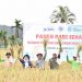 Muhammadiyah Panen Raya Padi Sehat: Ikhtiar Wujudkan Kedaulatan Pangan