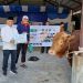 PWM Sumatera Utara Potong 8 Sapi dan 2 Kambing, Salurkan Hampir Seribu Kantong Daging