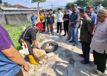 SUMU dan JULEHA Gelar Pelatihan Penyembelihan Hewan Kurban: Cetak Tim  Sembelih Profesional
