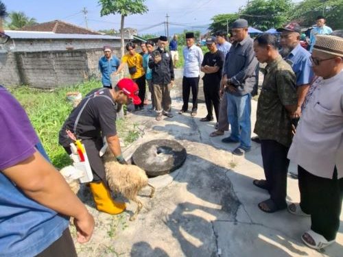 SUMU dan JULEHA Gelar Pelatihan Penyembelihan Hewan Kurban: Cetak Tim  Sembelih Profesional