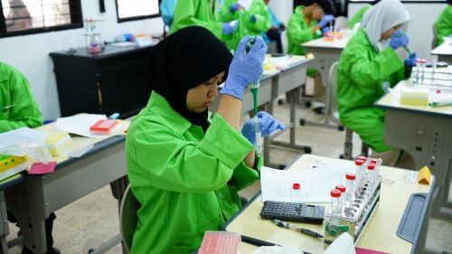 Olimpiade Sains Nasional 2025: Adu Inovasi dan Logika Pelajar se-Indonesia