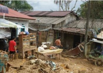 Bupati Aceh Tengah Menyerah: Puluhan Ribu Warga di 87 Desa Terisolir, Terpaksa Makan Ubi dan Pisang untuk Bertahan.
