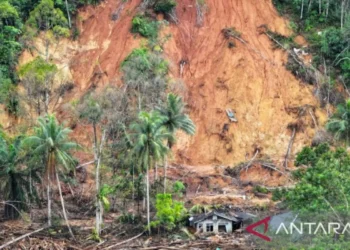 Bencana Batang Toru dan risiko baru bagi keanekaragaman hayati Sumatra