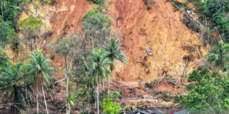 Bencana Batang Toru dan risiko baru bagi keanekaragaman hayati Sumatra
