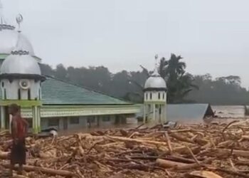 Desa Sekumur di Aceh Tamiang Hilang Diterjang Banjir, Hanya Tersisa Masjid