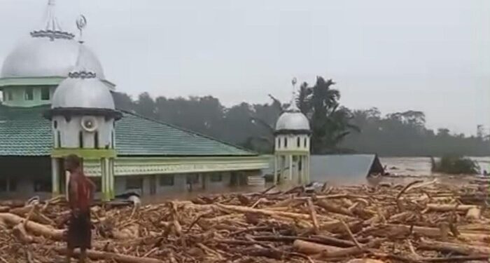 Desa Sekumur di Aceh Tamiang Hilang Diterjang Banjir, Hanya Tersisa Masjid